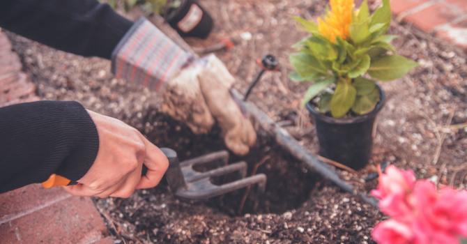 Gardening Tips to Protect Your Spine